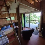 Perchee Mongauzy