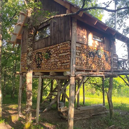 Perchee Kamp alanı Mongauzy